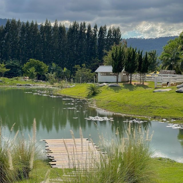 Bucolic ฟาร์มคาเฟ่เขาใหญ่
