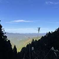 吉野山へ行くときは桜の時期はもちろんのこと、紅葉シーズンもおすすめ！鴨うどんと葛餅をいただきながら、世界遺産も巡りました