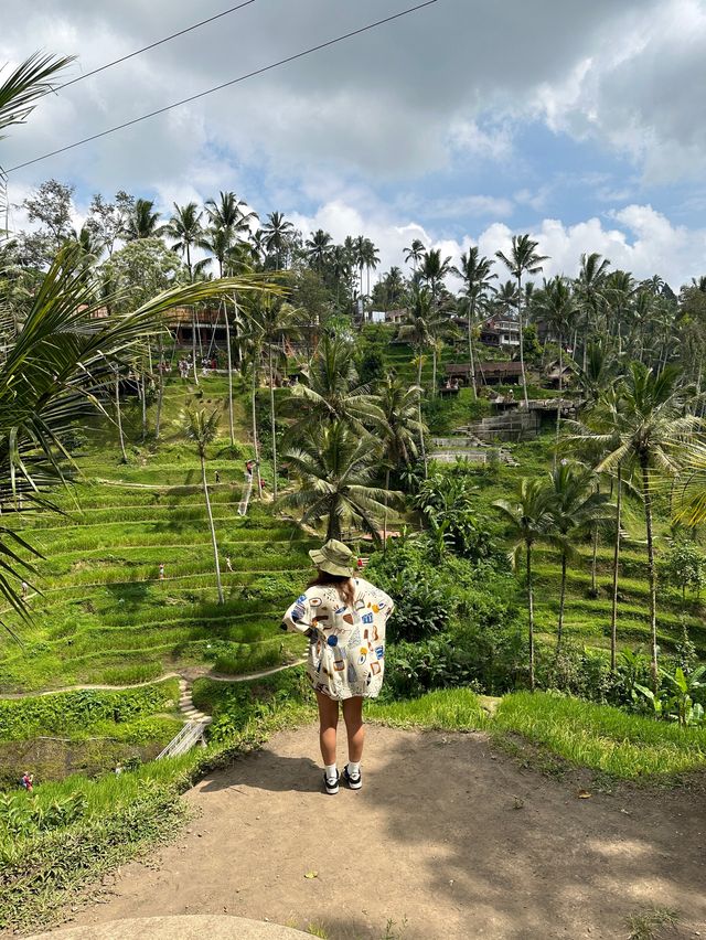 Ubud’s beauty 🌱🌳