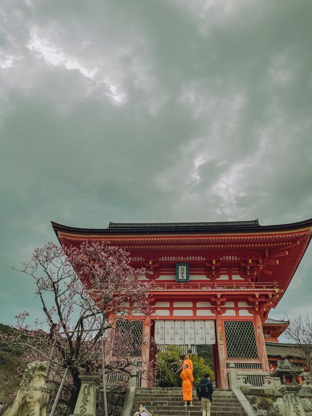 교토 전경을 내려다보는 필수 여행코스✔️