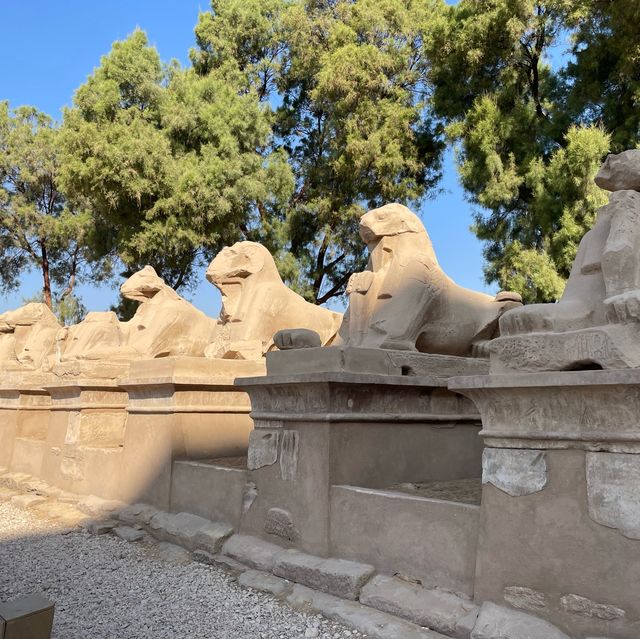 《エジプト/ルクソール》カルナック神殿 山羊のスフィンクスに囲まれて