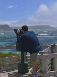 Boulders Beach : Simon's Town หาดแพนกวิ้น