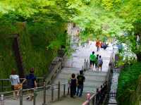 The iconic Kiyomizu-dera in Kyoto