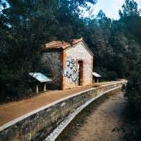 MAGNIFICENT WOODED PARK IN MARSEILLE.