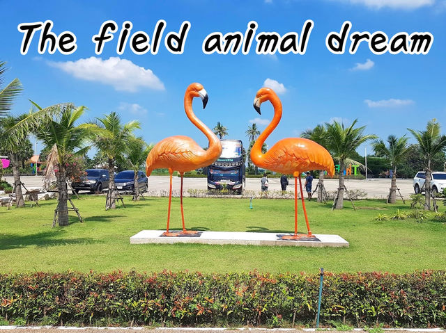 The field animal dream สวนสัตว์น่ารักใน จ.เพชรบุรี