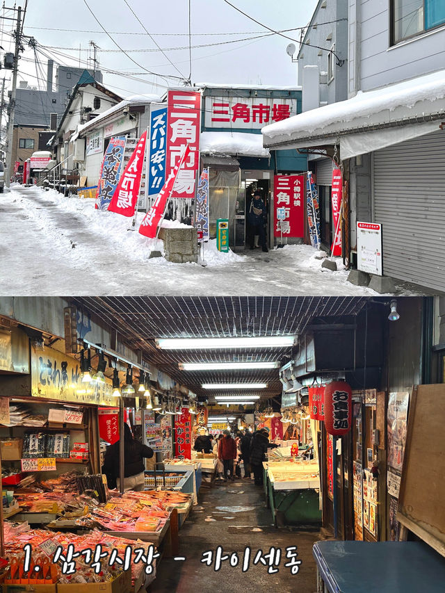 𝒮𝒶𝓅𝓅ℴ𝓇ℴ 🌨️ 오타루 당일치기 여행 ☃️ 추천 스팟 💓