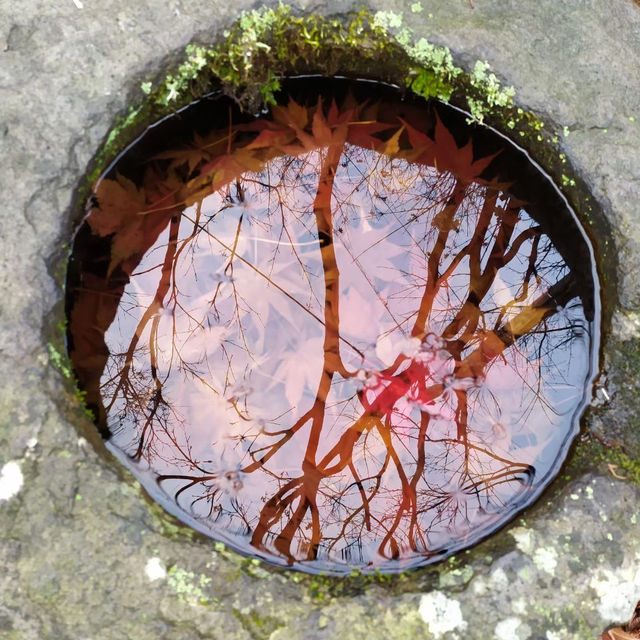 Nyuto onsen: secret village