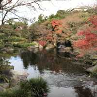 Himeji Park 🌿💐🌺