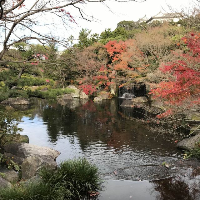 Himeji Park 🌿💐🌺