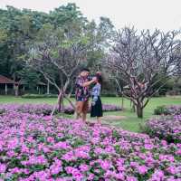 นั่งปิกนิก ปั่นเรือเป็ด ที่สวนหลวงร.9