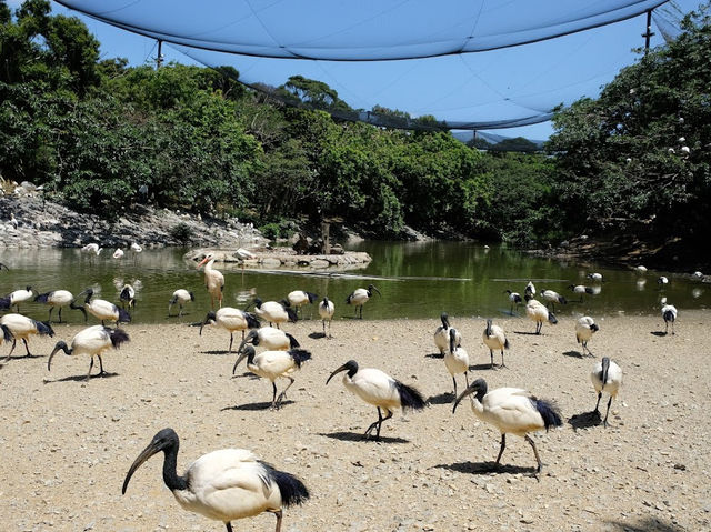 Okinawa Park