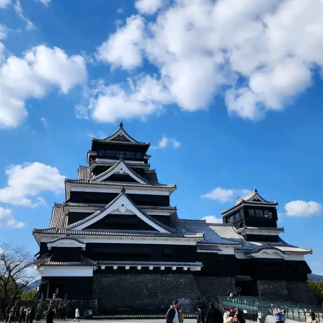 ✈️🇯🇵구마모토의 핵심 관광지 구마모토성!