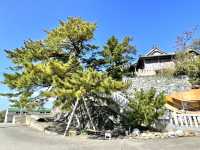 【厳島神社/兵庫県】沼島の弁天さん
