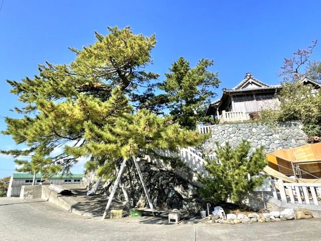 【厳島神社/兵庫県】沼島の弁天さん