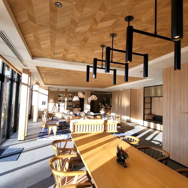 沉浸於日光中的舒適酒店