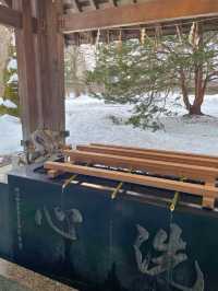 【北海道 帯広】シマエナガの御朱印とおみくじがかわいい⛩️帯廣神社