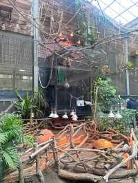 ［新竹/北埔］綠世界生態農場🦩｜超多動物可以近距離觀察 連植物都很多樣