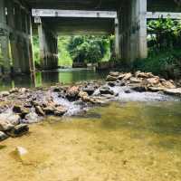 หนมจีนพานเต