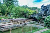 Crocodile Adventureland Langkawi