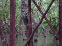 Siam Reap Floating Village: Aquatic Life