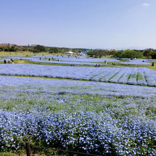 海之中道海濱公園