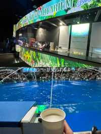 【東京】【品川】リトルマーメイドっぽいデジタルアート水族館🌴🐬✨