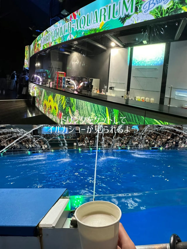 【東京】【品川】リトルマーメイドっぽいデジタルアート水族館🌴🐬✨