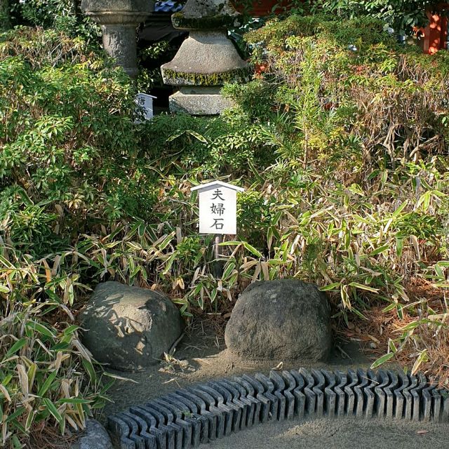 한적함을 즐길 수 있는 하코자키궁⛩