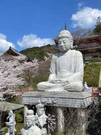 麗らかな春🌸大仏様とお花見しよう🌸壷坂寺 in 奈良