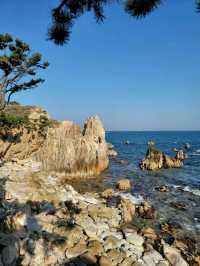 여름이 기다려지는 경주 오션뷰 직관카페🌊