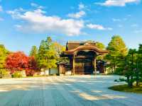 The city in hues of passion and beauty🇯🇵🍁