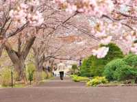 Temiya Ryokuka Botanical Gardens