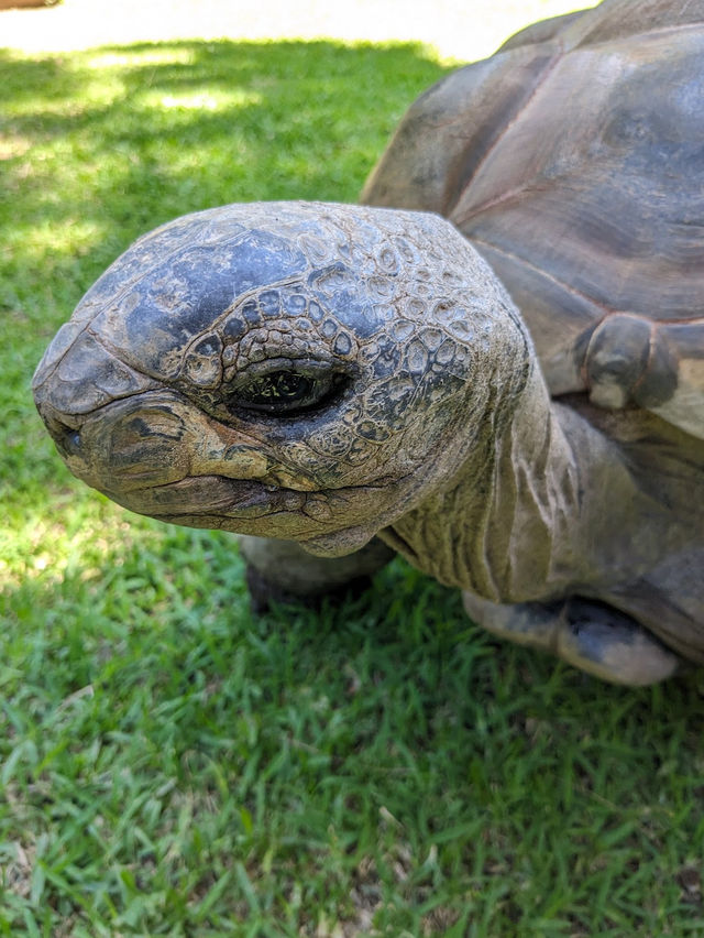 Adelaide Zoo