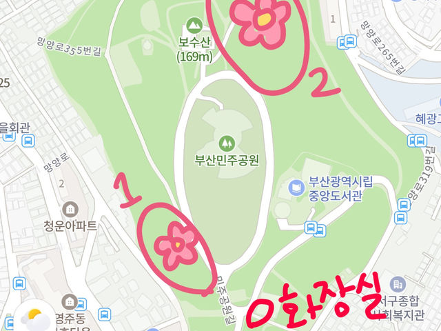 부산 겹벚꽃 제일 예쁜 민주공원🌸