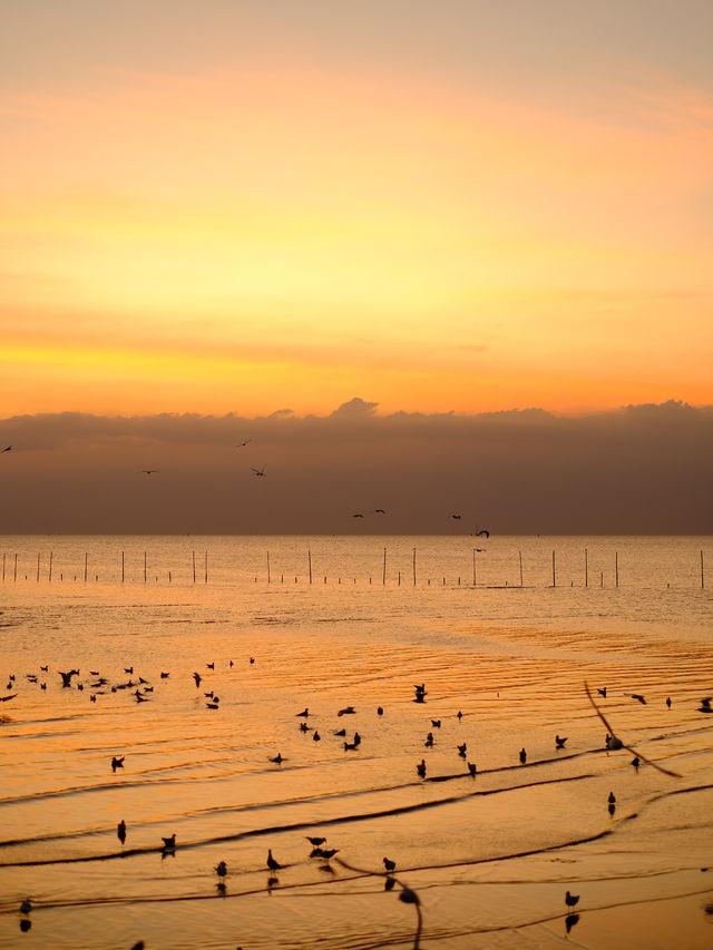 สถานตากอากาศบางปู 🐦🌤️