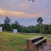 คาเฟ่ในป่า Jungle space นครพนม