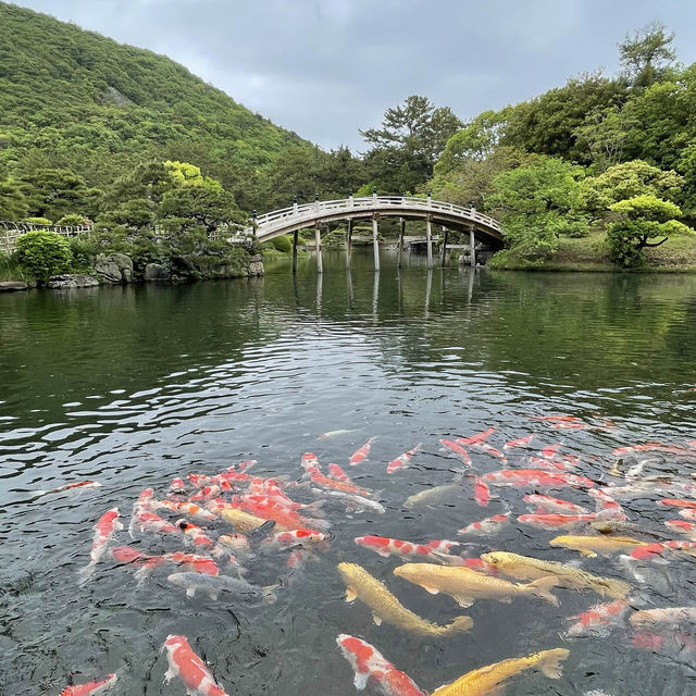 【高松】栗林公園：米其林三星景點，方便交通