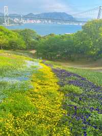 【山口観光】無料で楽しめるお出かけスポット🌼