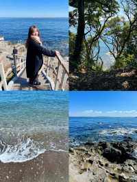 忙しい人の現実逃避スポット🌿都心から約1時半で行ける無人島🫣🏝🩵【猿島】