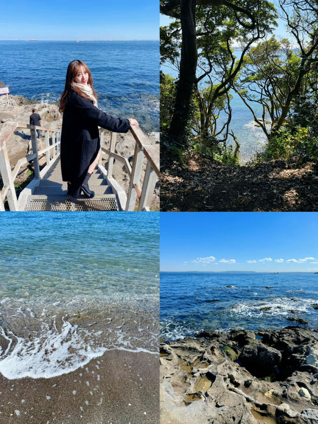 忙しい人の現実逃避スポット🌿都心から約1時半で行ける無人島🫣🏝🩵【猿島】