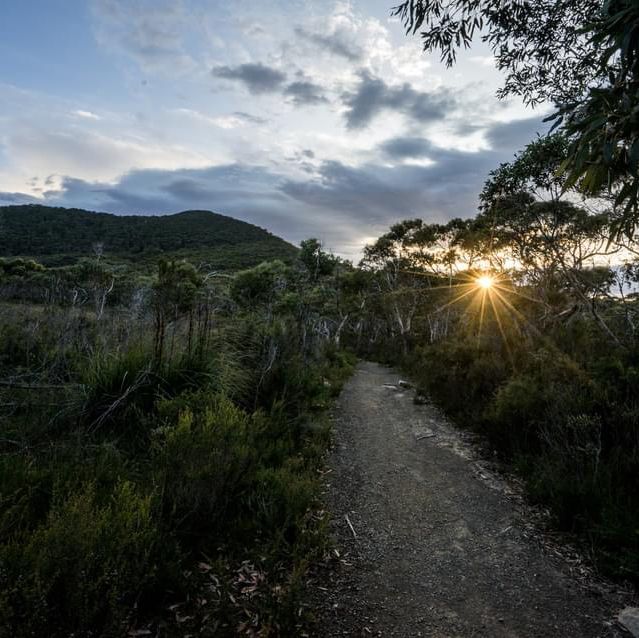 Discovering the Hidden Gem of Mount Fortescue Circuit