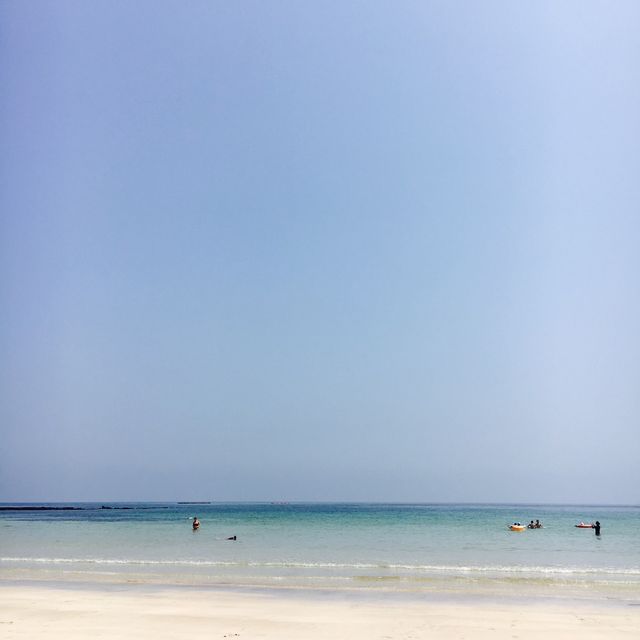아름다운 검멀레 해변🏝️ 제주도 추천 스팟 총정리!