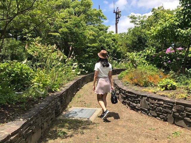 賞花好去處😚海之中道海濱公園