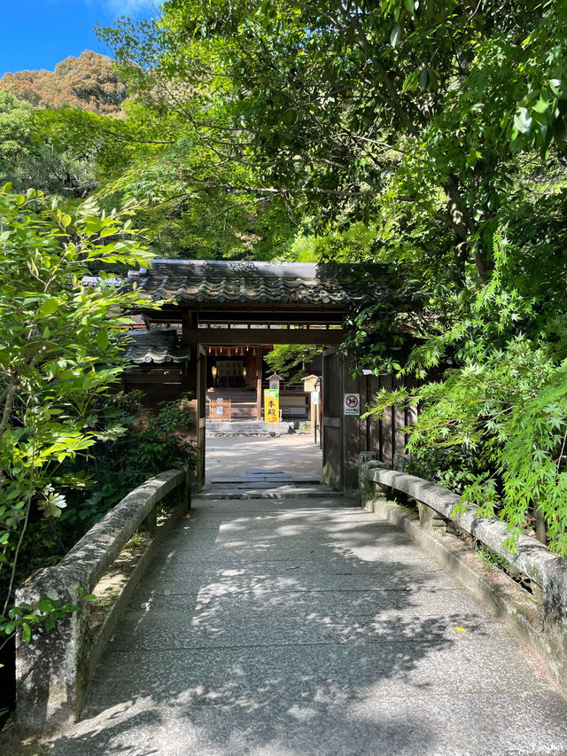 【京都府】世界文化遺産「宇治上神社」を参拝！