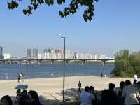 汝矣島漢江公園(여의도한강공원) - 首爾