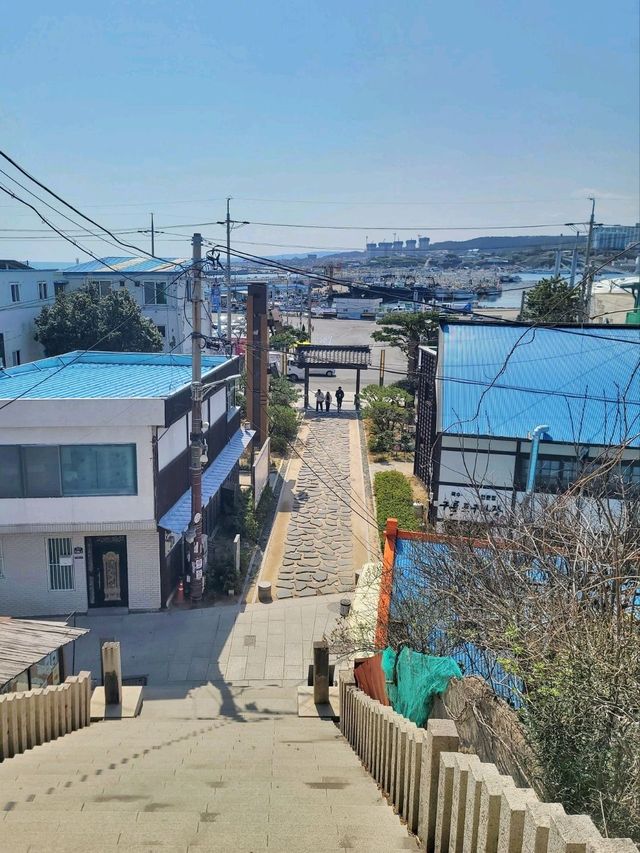 동백꽃필무렵 그 계단 포토존이 여기🌺