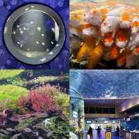 【首爾】Coex Aquarium：夢幻水之旅，方便位置