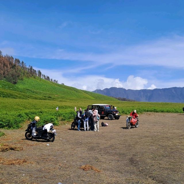 THE GREEN PARADISE OF BROMO