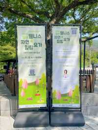 대구 자연속 힐링 자연요가체험!!