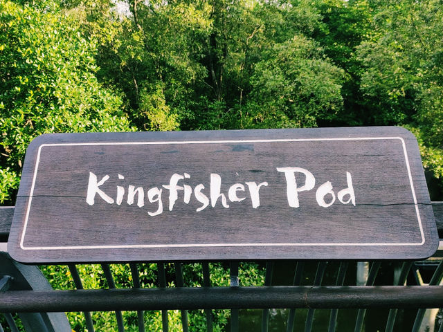 The Kingfisher Pod